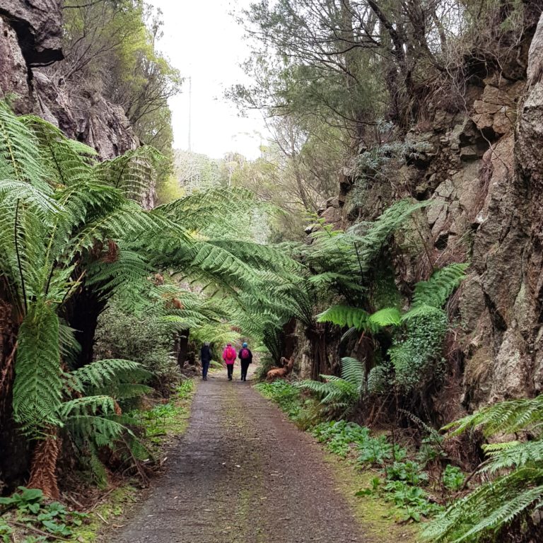 North East Rail Trail