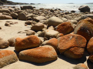 Rocky Coastline facing Bass Strait