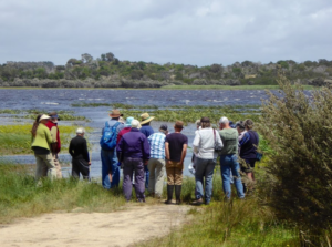Field Nats at Big Waterhouse Lake (PR)