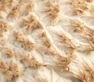 Not a meringue topping