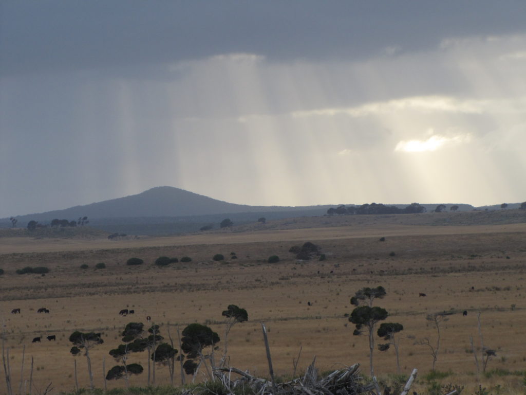 Mt William National Park, North-east Tasmania