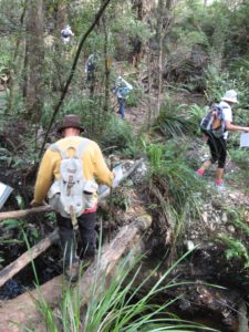 Beginning the walk up Mt Stronach
