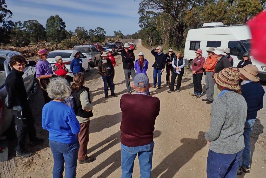 Introduction to Scott Bell's Property