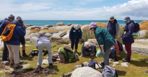 Musselroe Conservation Area