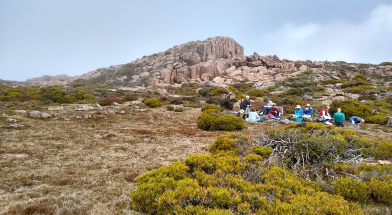 Field Nats lunching on Plains of Heaven