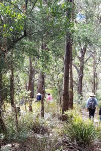 Descending Mount Direction
