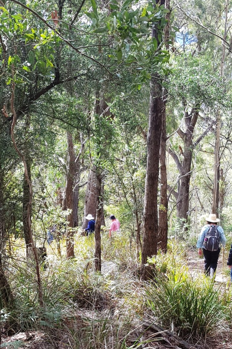 Descending Mount Direction