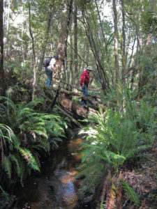 Mt Stronach creek crossing