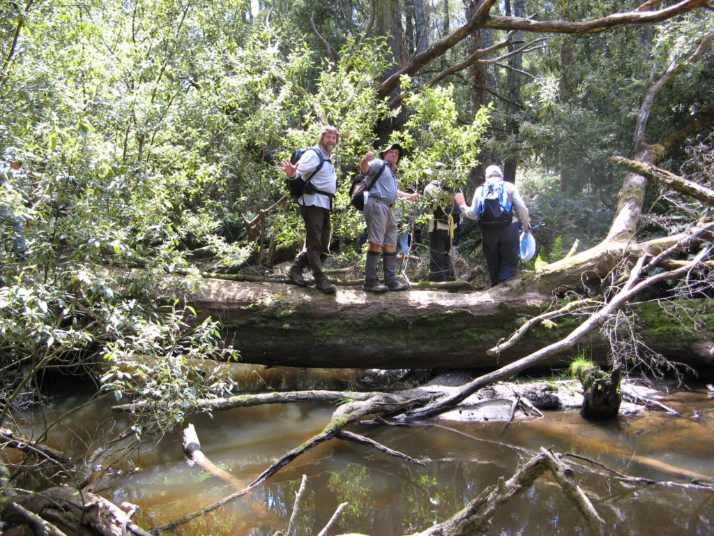 Boobyalla River circuit