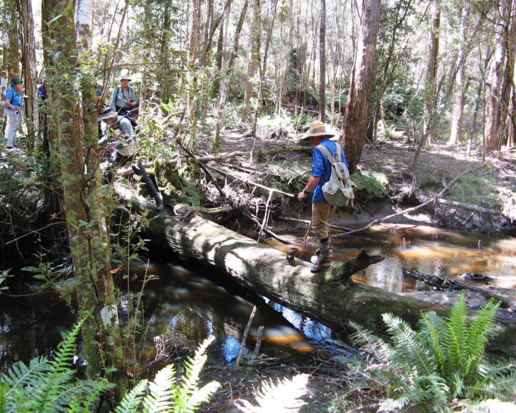 Boobyalla River circuit