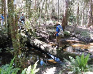 Boobyalla River circuit