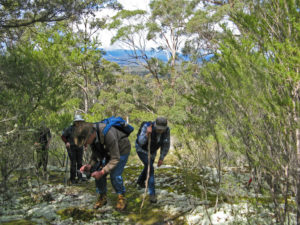 Climbing to Cube Rock (CB)