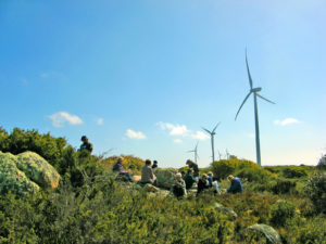 Lunch at the Cape Portland WInd Farm