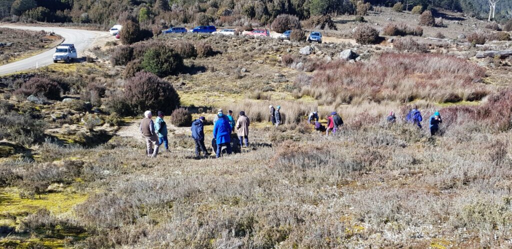 Field naturalists looking at bryophytes at Paradise Plains Reserve