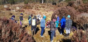Field Nats at Paradise Plains Reserve