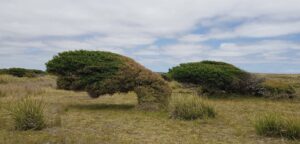 Cape Portland (PR)