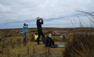 Field Nats at Cape Portland (LR)