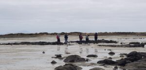 Field Nats at Cape Portland (PR)