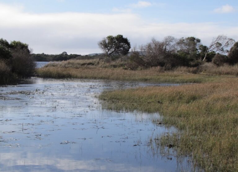Blackmans Lagoon