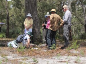 Examining orchids, Ansons Bay