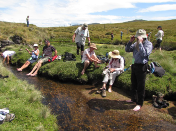 Cooling off in the Vale River (LB)