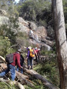 Approaching Deep Creek falls Mount Cameron (CB)