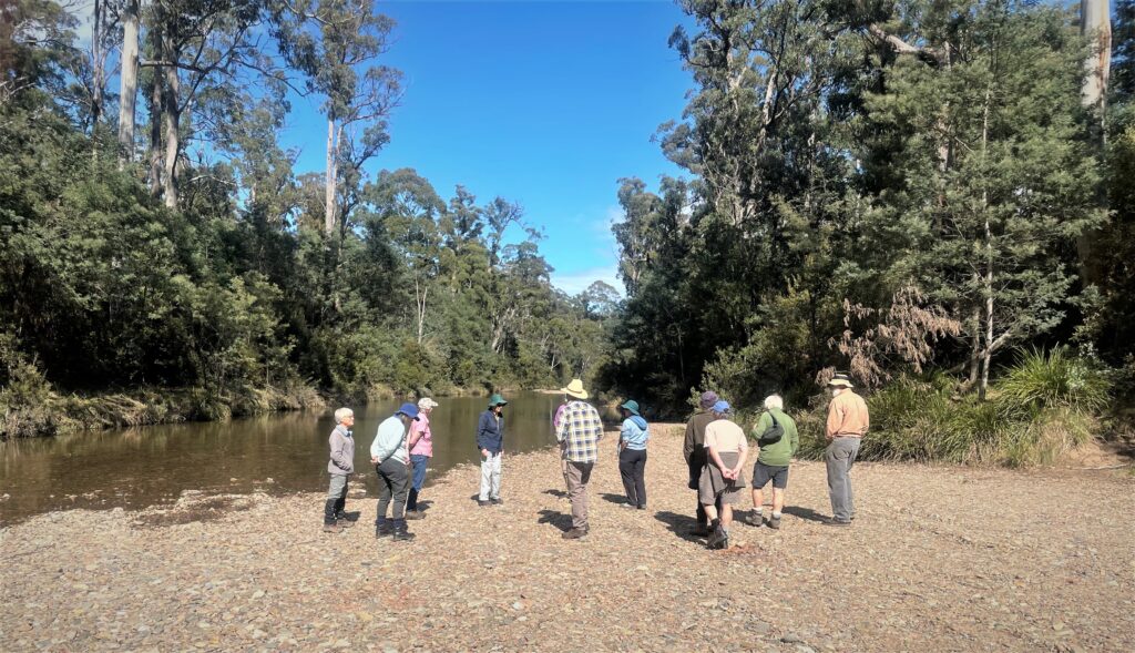 Field Nats at the Avenue River (CF)