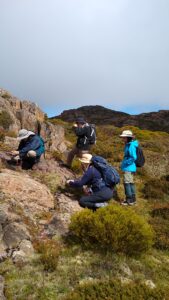 Ben Lomond (LR)