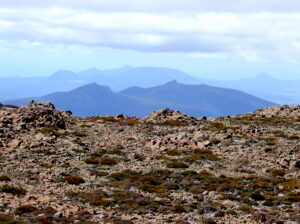 Ben Lomond a view to the east (RC)