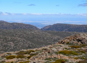 Ben Lomond - a view to the south (RC)