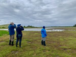 Lake Tregaron, Musselroe Wind Farm November 2022 (PR)
