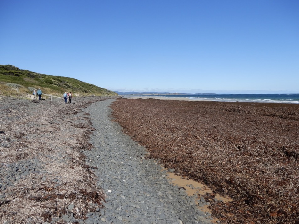 East Beach, Low head