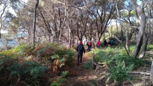Field Nats at Binalong Bay (LR)