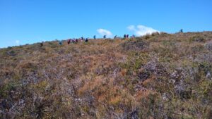 On the ridge (LR)