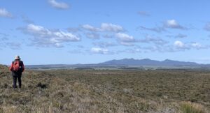 The Cameron Range seen from the dune top at Waterhouse (PR)