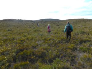 Heading across the heathlands (LB)