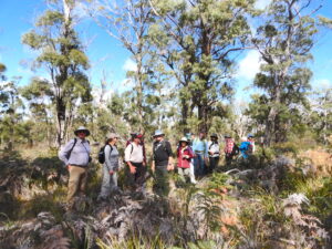 Field Nats on the Dora Point track, Humbug Point Nature Recreation Area (RC)