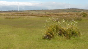Out on the prairie