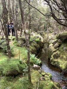 Sun Creek diversion for tin mining (PR)