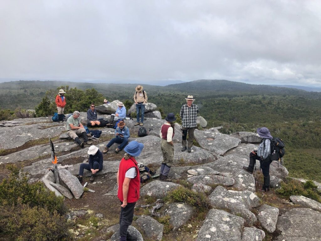 Mt Michael summit (CS)