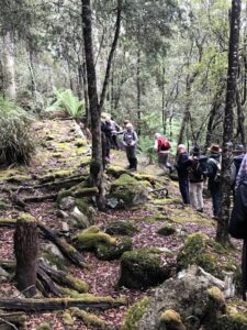 Field Nats and flume remains (LG)