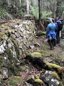 Briseis water race wall (LG)