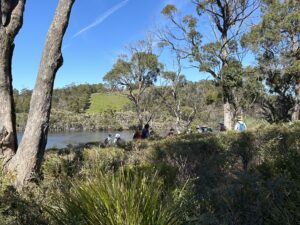 Field Nats heading down to the bay (PR)