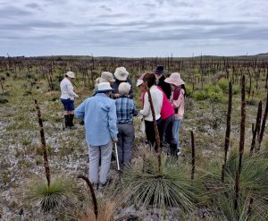 Field Nats examining a find, Waterhouse (RC)