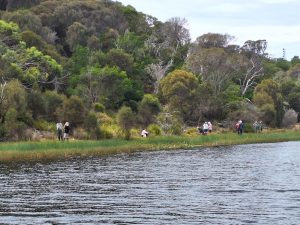 Field Nats at Little Waterhouse Lake (CB)