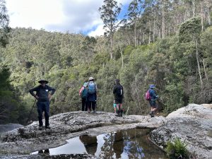 Field Nats at the top of Harridge Falls (PR)