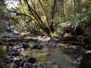 Weld River (RVE)