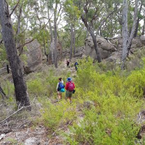 The descent from Whale Rock, Mt Cameron (PR'