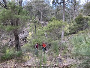 Above Deep Creek, Mount Cameron (PR)