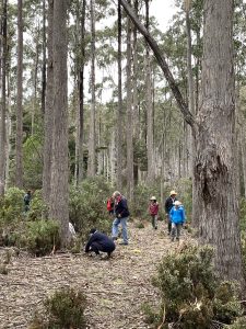 Field Nats at Mt Barrow (PR)